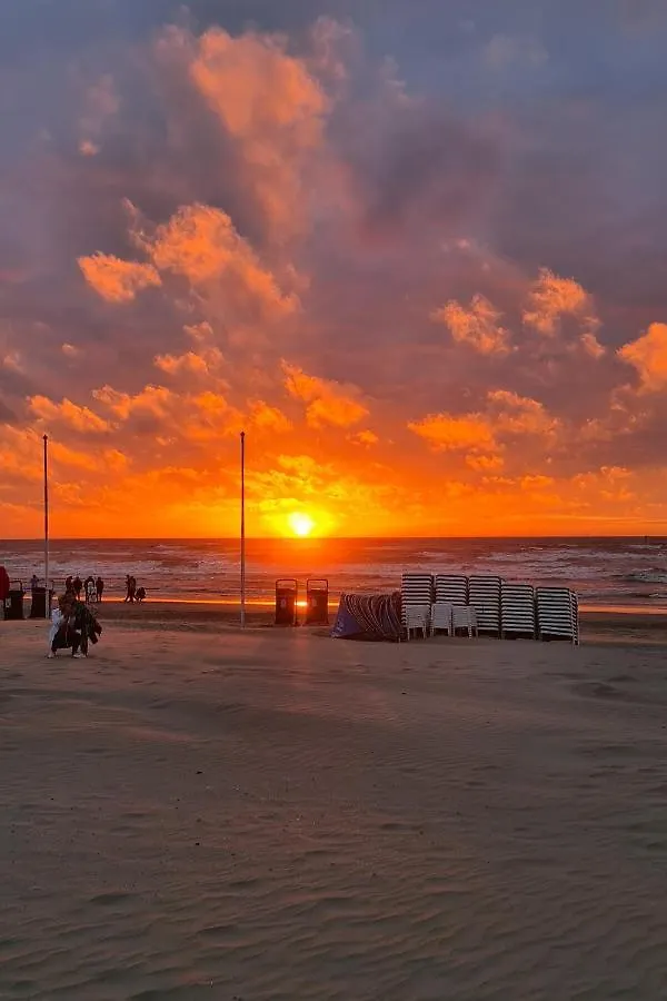 B&B Het Duinhuisje Met Jacuzzi, Gratis Parkeren, 2 Fietsen Te Leen, Airco Zandvoort Bed & Breakfast